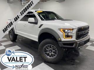 2019 Ford F-150 Raptor 1FTFW1RG7KFA58069 2019 Ford F-150 Raptor