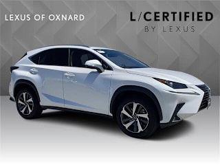2020 Lexus NX 300 Base JTJGARBZ7L5008788 2020 Lexus NX 300 Base