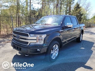 2019 Ford F-150 Platinum 1FTEW1E47KFB48233 2019 Ford F-150 Platinum