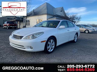 2006 Lexus ES 330 Base JTHBA30G165147782 2006 Lexus ES 330 Base
