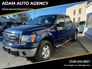 2010 Ford F-150 1FTFW1EV1AFA64016 2010 Ford F-150