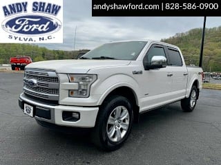 2015 Ford F-150 Platinum 1FTEW1EG8FFB48015 2015 Ford F-150 Platinum