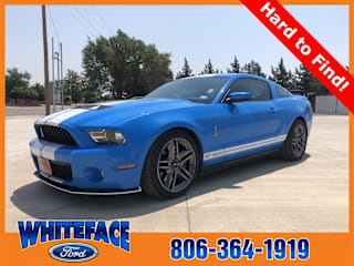 2010 Ford Shelby GT500 Base 1ZVBP8JSXA5153389 2010 Ford Shelby GT500 Base