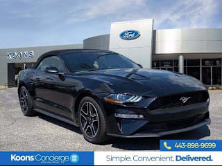 2019 Ford Mustang EcoBoost Premium 1FATP8UHXK5161782 2019 Ford Mustang EcoBoost Premium