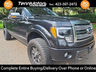 2010 Ford F-150 Platinum 1FTFW1EV6AFA32131 2010 Ford F-150 Platinum