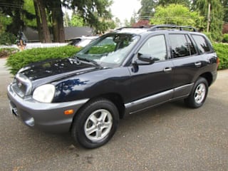2004 Hyundai Santa Fe LX KM8SC13E64U741311 2004 Hyundai Santa Fe LX