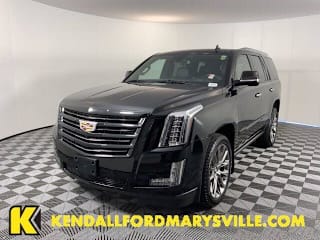 2020 Cadillac Escalade Platinum 1GYS4DKJ9LR284538 2020 Cadillac Escalade Platinum