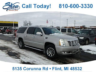 2009 Cadillac Escalade ESV 1GYFK16209R130303 2009 Cadillac Escalade ESV