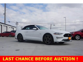 2019 Ford Mustang GT Premium 1FATP8FF3K5151798 2019 Ford Mustang GT Premium
