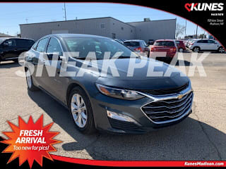 2019 Chevrolet Malibu 1G1ZD5ST0KF163899 2019 Chevrolet Malibu