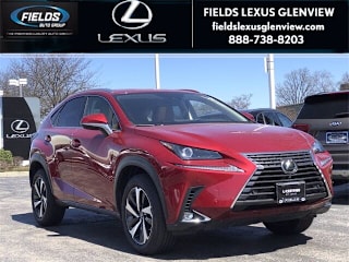2021 Lexus NX 300 JTJGARDZ6M5020462 2021 Lexus NX 300