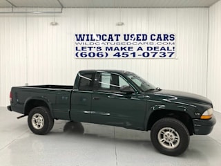 1999 Dodge Dakota 1B7GG22X9XS176883 1999 Dodge Dakota