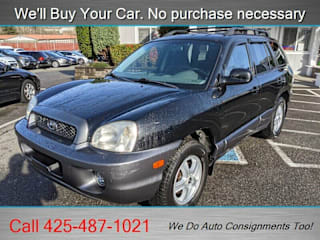 2003 Hyundai Santa Fe KM8SC13D73U373369 2003 Hyundai Santa Fe