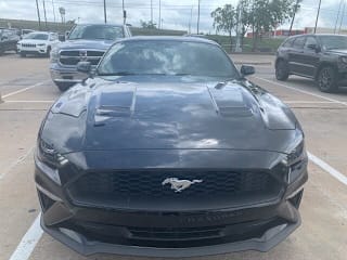 2019 Ford Mustang EcoBoost 1FA6P8THXK5176314 2019 Ford Mustang EcoBoost