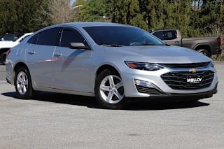 2019 Chevrolet Malibu 1G1ZB5ST0KF225565 2019 Chevrolet Malibu