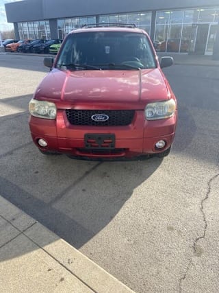 2007 Ford Escape 1FMYU93117KA13219 2007 Ford Escape
