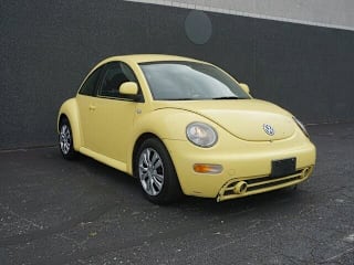 Beatle Panal Amarillo Beatle Panal Amarillo