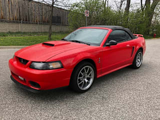 2001 Ford Mustang SVT Cobra Base 1FAFP46V91F197710 2001 Ford Mustang SVT Cobra Base