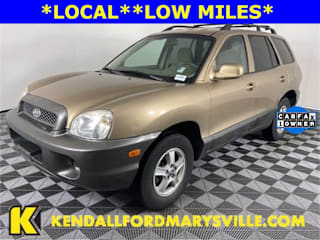 2004 Hyundai Santa Fe KM8SB12B44U769294 2004 Hyundai Santa Fe