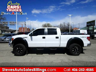2013 Ford F-150 Platinum 1FTFW1EF7DFC89103 2013 Ford F-150 Platinum
