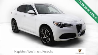 2020 Alfa Romeo Stelvio ZASPAKBN9L7C74848 2020 Alfa Romeo Stelvio