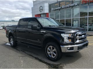 2016 Ford F-150 XLT 1FTEW1EG0GFB13129 2016 Ford F-150 XLT