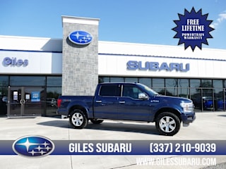 2019 Ford F-150 Platinum 1FTEW1E42KFB49533 2019 Ford F-150 Platinum