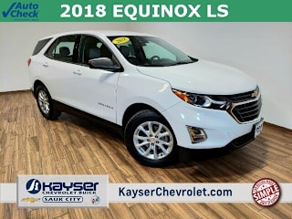 2018 Chevrolet Equinox LS 2GNAXHEV6J6302931 2018 Chevrolet Equinox LS