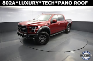 2019 Ford F-150 1FTFW1RG3KFA73667 2019 Ford F-150