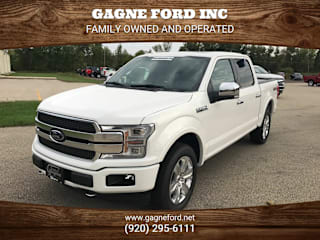 2020 Ford F-150 Platinum 1FTEW1E49LFC55558 2020 Ford F-150 Platinum