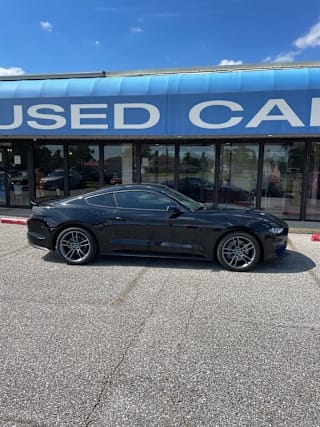 2019 Ford Mustang GT 1FA6P8CF3K5166657 2019 Ford Mustang GT