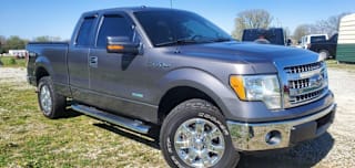 2013 Ford F-150 XLT 1FTFX1ET7DKF95244 2013 Ford F-150 XLT