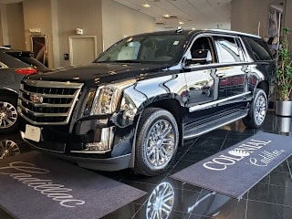 2020 Cadillac Escalade ESV Standard 1GYS4GKJ0LR228103 2020 Cadillac Escalade ESV Standard