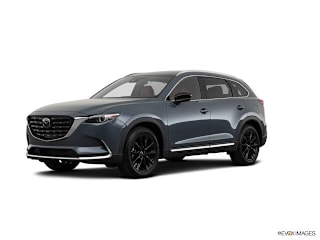 2021 Mazda CX-9 JM3TCADY7M0502463 2021 Mazda CX-9