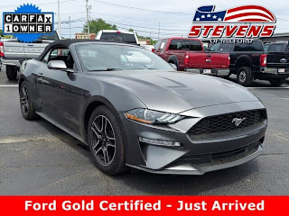 2019 Ford Mustang EcoBoost 1FATP8UH4K5161535 2019 Ford Mustang EcoBoost