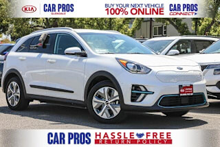 2019 Kia Niro EV EX KNDCC3LG0K5009687 2019 Kia Niro EV EX