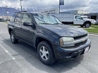 2006 Chevrolet TrailBlazer LS 1GNDT13S662243828 2006 Chevrolet TrailBlazer LS