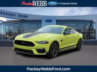 50 Best Ford Mustang Mach 1 For Sale Savings From 5 126