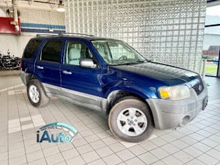 2007 Ford Escape XLT 1FMYU03197KA99505 2007 Ford Escape XLT