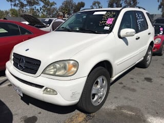 2002 Mercedes-Benz M-Class 4JGAB54E32A319967 2002 Mercedes-Benz M-Class