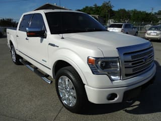 2014 Ford F-150 Platinum 1FTFW1ET6EFC17865 2014 Ford F-150 Platinum
