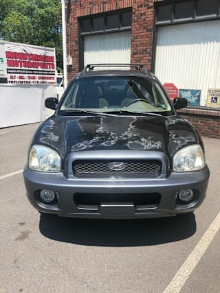 2004 Hyundai Santa Fe LX KM8SC73E44U616035 2004 Hyundai Santa Fe LX