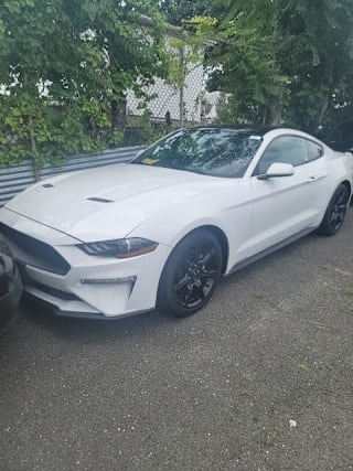 2019 Ford Mustang EcoBoost 1FA6P8TH0K5191016 2019 Ford Mustang EcoBoost
