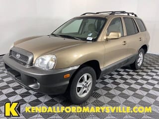 2004 Hyundai Santa Fe KM8SB12B44U769294 2004 Hyundai Santa Fe