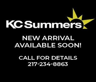 2011 Ford Fusion SEL 3FAHP0JA5BR231507 2011 Ford Fusion SEL