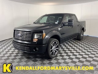 2010 Ford F-150 1FTFW1EV8AFD06008 2010 Ford F-150