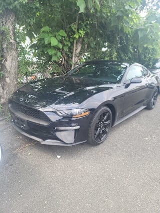 2018 Ford Mustang EcoBoost 1FA6P8TH1J5182419 2018 Ford Mustang EcoBoost