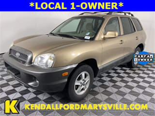 2004 Hyundai Santa Fe Base KM8SB12B44U769294 2004 Hyundai Santa Fe Base