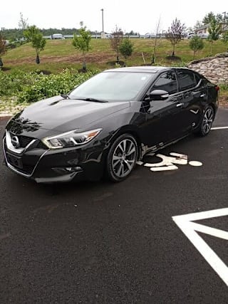 2017 Nissan Maxima Platinum 1N4AA6APXHC387737 2017 Nissan Maxima Platinum