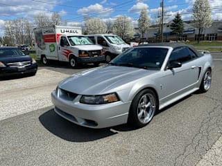 2001 Ford Mustang SVT Cobra Base 1FAFP46V91F204879 2001 Ford Mustang SVT Cobra Base